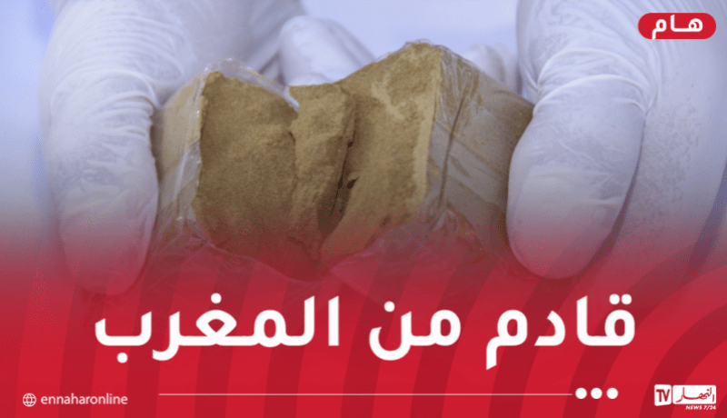 تفكيك 6 شبكات إجرامية منظمة وضبط أزيد من قنطار كيف مصدره المغرب