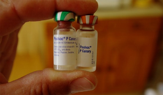 L’Algérie ne veut plus  de vaccins «suspects»