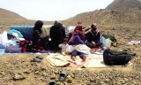 L’Algérie accueille les Syriens bloqués à la frontière avec le Maroc
