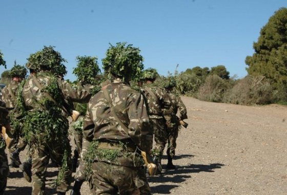 Cinq terroristes tués à Bouira