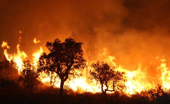 85% des feux de forêt sont d’origines inconnues selon DGF