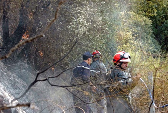 Canicule à Médéa : 12 foyers d’incendie en 24 h