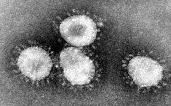 Coronavirus: Aucun cas de contamination parmi les Algériens établis en Italie