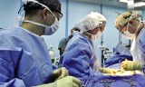 Nouvelle technique de chirurgie vasculaire pratiquée avec succès à Oran