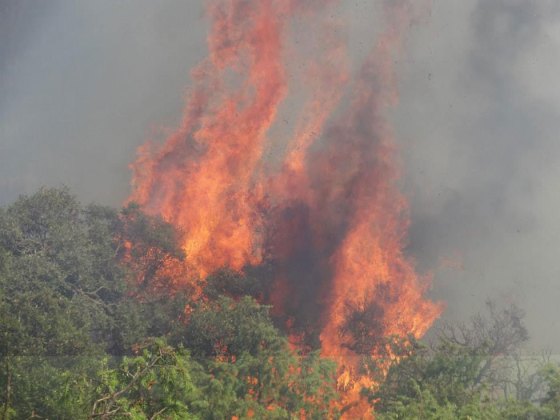 Le parc national de Chrea ravagé par le feu