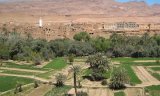 Agriculture à Ghardaïa : Entre qualité et souffrances
