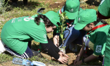 Gig Algeria organise une action écologique