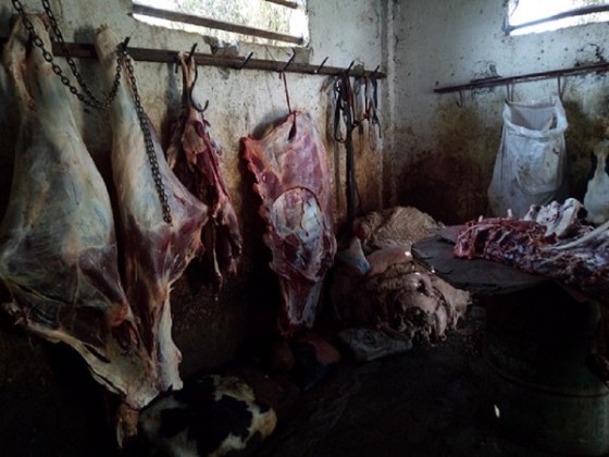 Ghardaïa : Saisie de 290 kg de viandes impropres