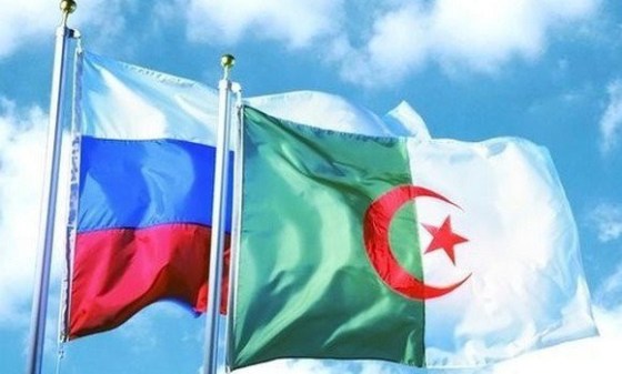 Partenariats entre Saint-Pétersbourg et des villes algériennes : Une passerelle de la Baltique à l’Algérie