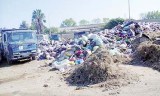 Blida : Un dispositif pour la collecte des déchets des commerçants