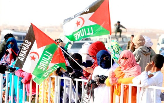 Sahara Occidental : l’Algérie va revoir ses accords avec l’Espagne