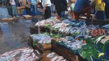 Des points de vente de poissons au Ramadhan