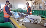 Recyclage des déchets : 200 microentreprises actives à Blida