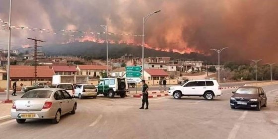 26 morts et 45 blessés dans les incendies qui ravagent l’est du pays