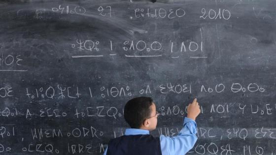 Si El-Hachemi Assad : «L’enseignement de Tamazight a connu une évolution remarquable»