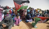 Sahara occidental : L’inaction de l’ONU dénoncée