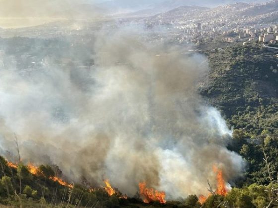 Meeting of the Federation of Hunters in Blida: The preservation of forest wealth in question