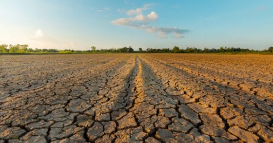 Pour faire face à la sécheresse et son impact sur l’agriculture : Capter toutes les ressources hydriques