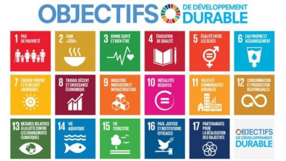 Développement durable et santé : Les progrès de l’Algérie soulignés par l’ONU