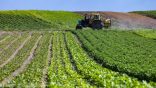 Saison agricole à Tizi Ouzou :  La campagne des labours lancée
