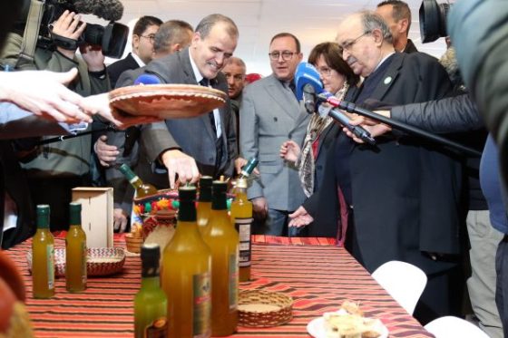Huile d’olives : Portes ouvertes nationales sur les exportations