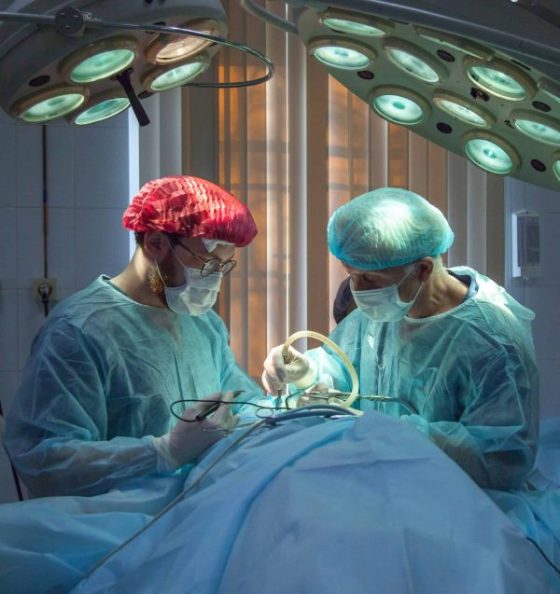 Journées médico-chirurgicales algéro-françaises :  Plusieurs interventions délicates réalisées 