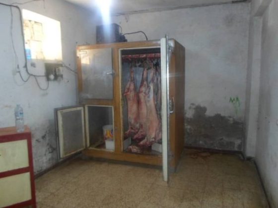 Abattage clandestin à Médéa : Une importante quantité de viande rouge saisie 
