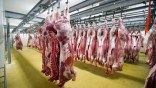 L’importation doit être une solution exceptionnelle : Nécessaire relance de la filière viande rouge