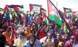 Sahara occidental : Le Polisario célèbre un demi-siècle de lutte