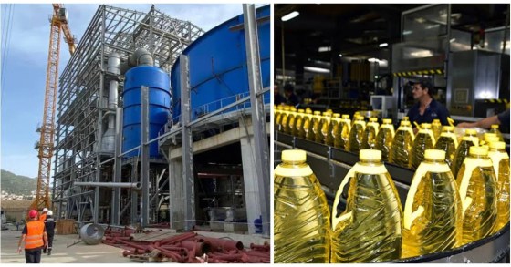 Trituration de graines oléagineuses : L’usine de Cevital à Béjaïa entre en production