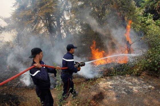 Incendies de forêt : la prévention le maitre mot des experts  