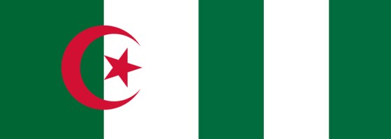 Algérie-Nigéria : Des projets stratégiques en commun