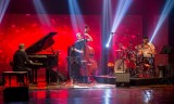 Festival européen de musique:  Le jazz résonne à Alger avec l’Allemagne et la Pologne