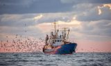 Expiration de l’accord de pêche UE-Maroc : L’activité de la flotte européenne suspendue dans les eaux sahraouies