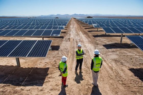 Ouverture des plis pour la réalisation des 15 centrales solaires : Un pas en avant dans le programme des ENR