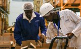 L’Afrique centrale enregistre la meilleure croissance dans le continent