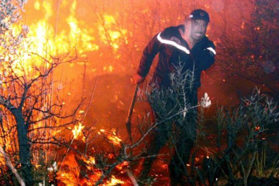 Un important incendie s’était déclenché à Boulimat : Nuit de psychose à Béjaïa