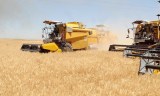 Indemnisation, gratuité des engrais et semences… : Les mesures en faveur des agriculteurs