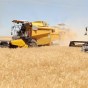 Indemnisation, gratuité des engrais et semences… : Les mesures en faveur des agriculteurs