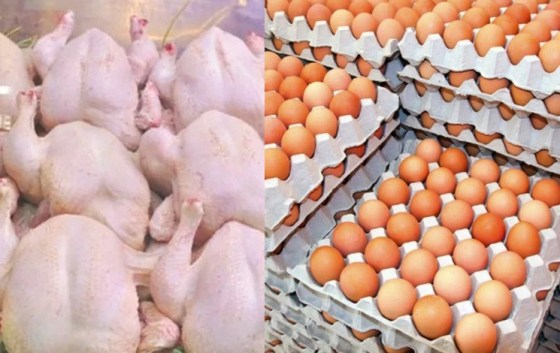 Prix du poulet et des œufs : Une hausse proche du niveau record