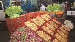 Distribution des produits agricoles et agroalimentaires : Plaidoyer pour libérer l’investissement privé