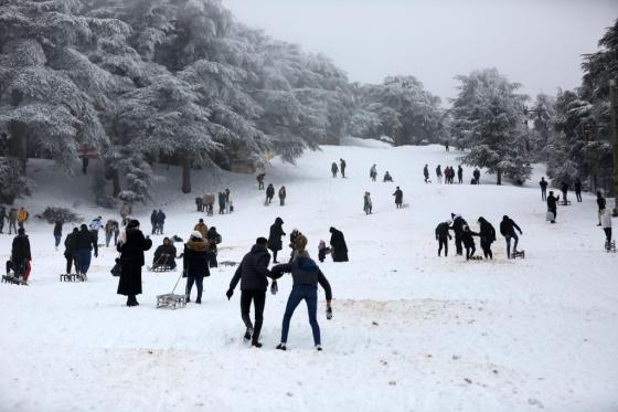 Après les dernières chutes de neige : Chréa reprend sa vocation touristique