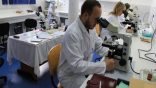 Un laboratoire pour la génétique moléculaire au CHU Mustapha-Bacha : Les maladies cardiaques mieux prises en charge