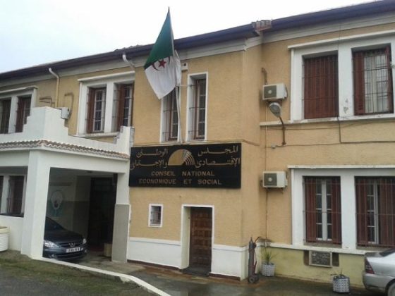 Le CNESE fixe les priorités de l’Algérie 