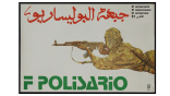 51e anniversaire de la création du Front Polisario : Des victoires sur le chemin de la liberté