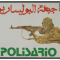 51e anniversaire de la création du Front Polisario : Des victoires sur le chemin de la liberté
