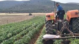 Développement agricole dans les wilayas du Sud : Assurer la disponibilité de l’énergie et des engrais