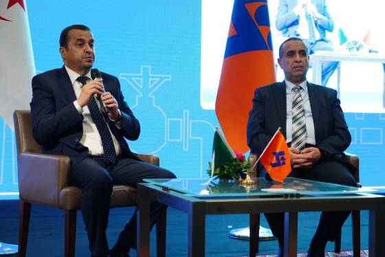 In order to guarantee supply during the summer: Sonelgaz unveils its action plan 