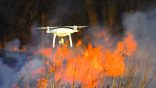 Tipasa : Des drones pour lutter contre les feux de forêt